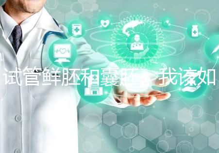 試管鮮胚和囊胚，我該如何選？
