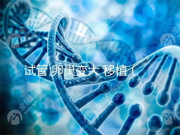 試管 卵巢變大 移植（試管 卵巢變大 移植能成功嗎）