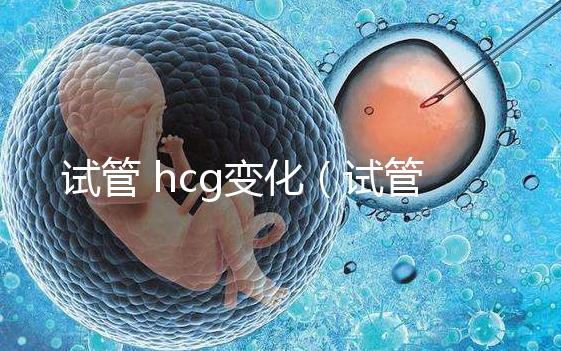 試管 hcg變化（試管hcg變化）