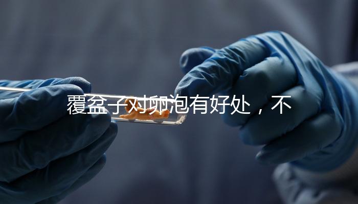 覆盆子對(duì)卵泡有好處，不要錯(cuò)過維持卵巢早衰，軟化宮頸