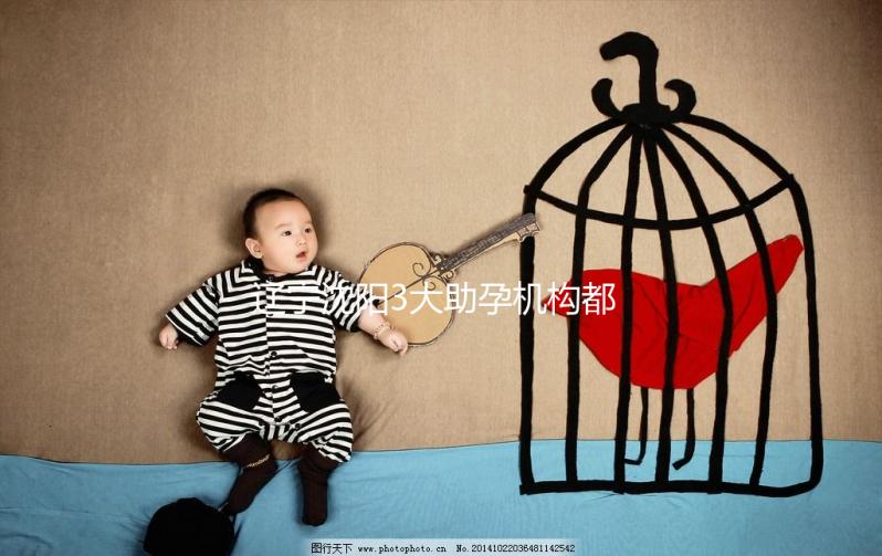 遼寧沈陽3大助孕機構都在這，來看看你知道幾家