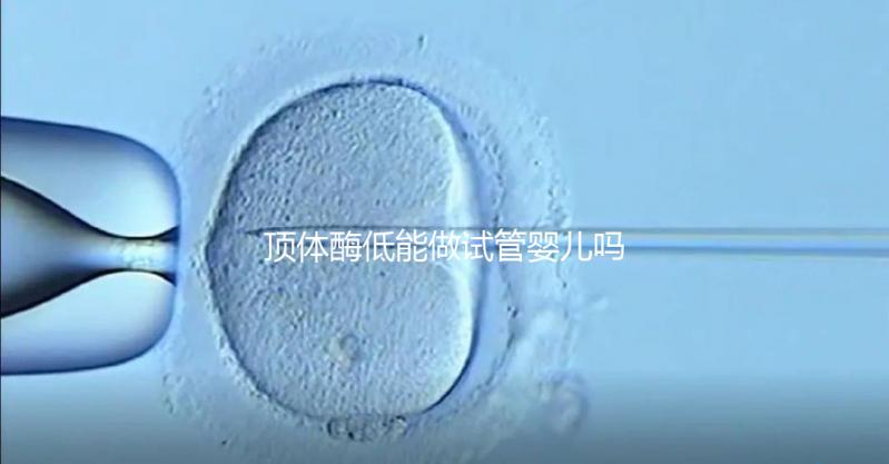 頂體酶低能做試管嬰兒嗎？你想知道的答案全在這