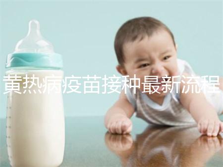 黃熱病疫苗接種最新流程詳解，這八大步驟你需要了解