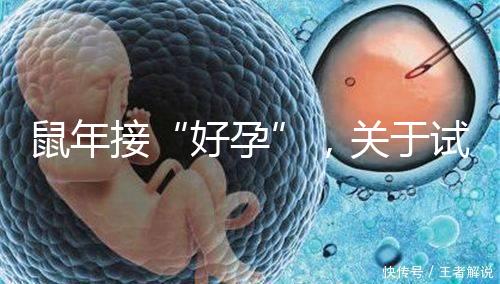 鼠年接“好孕”，關(guān)于試管嬰兒取卵的那些事兒！