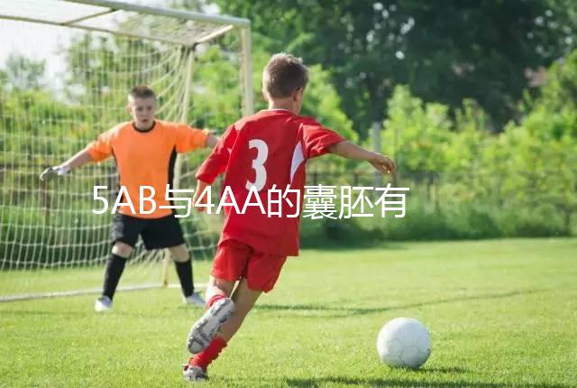 5AB與4AA的囊胚有什么區(qū)別？誰(shuí)更適合移植？