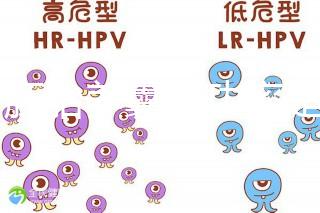 6個(gè)胚胎養(yǎng)囊成功率是多大答案在這,能配成3個(gè)機(jī)會(huì)就大