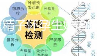 C級(jí)精子懷孕生娃之路不好走，試管或是唯一的選擇