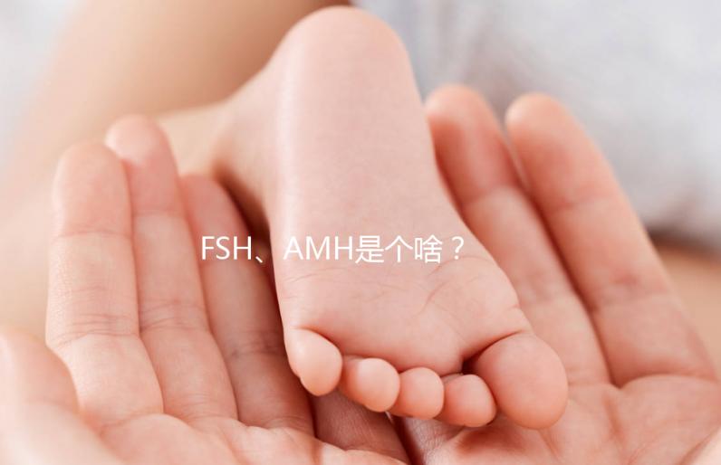FSH、AMH是個啥？卵巢功能好不好看這些指標！