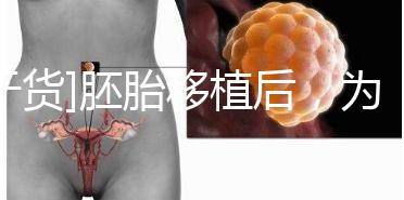 [干貨]胚胎移植后，為什么醫(yī)生告訴你不要提前懷孕？