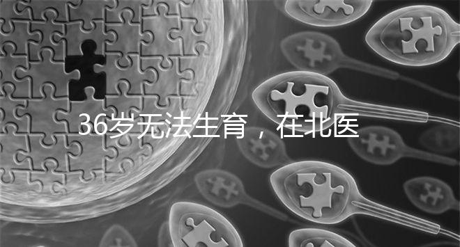 36歲無法生育，在北醫三院做人工授精成功率有多少？