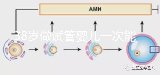 38歲做試管嬰兒一次能成功嗎？提前準備好這4點或許可以