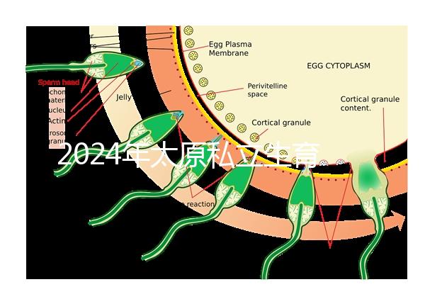 2024年太原私立生育醫院排名公開，上榜機構分娩條件好