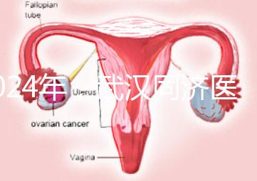 2024年，武漢同濟醫院不孕癥醫生排名公布，選擇專家迅速登記