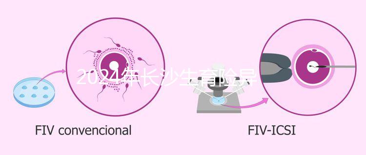 2024年長沙生育險異地報銷備案流程,附比例介紹