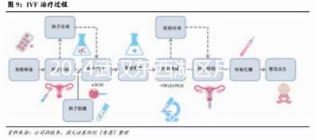 2024武漢東西湖區月子中心排行前十，口碑告訴你哪家最好