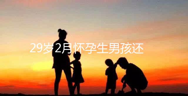 29歲2月懷孕生男孩還是女孩？清宮表2023帶你預(yù)測結(jié)果